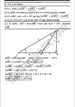 projection-of-a-side-of-a-triangle-review-exercise-15-mathematics-class-9th