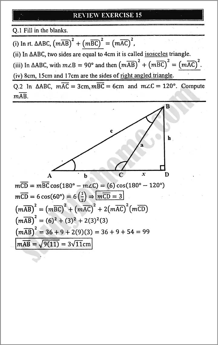 projection-of-a-side-of-a-triangle-review-exercise-15-mathematics-class-9th