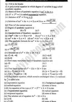 quadratic-equations-review-exercise-8-mathematics-class-9th