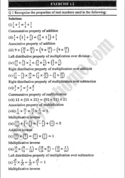 real-and-complex-numbers-exercise-1-2-mathematics-class-9th