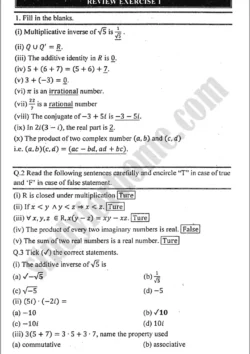 real-and-complex-numbers-review-exercise-1-mathematics-class-9th