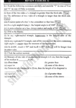 sides-and-angles-of-a-triangle-review-exercise-12-mathematics-class-9th