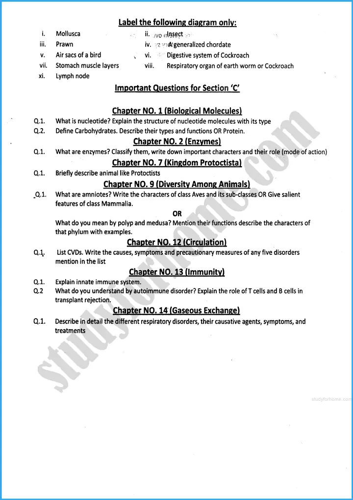 zoology 11th adamjee coaching guess paper 2025 science group 4