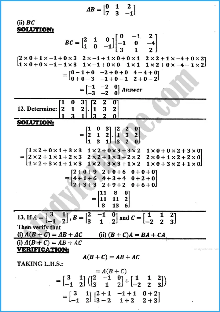 matrices and determinants exercise 19 1 mathematics class 10th 11