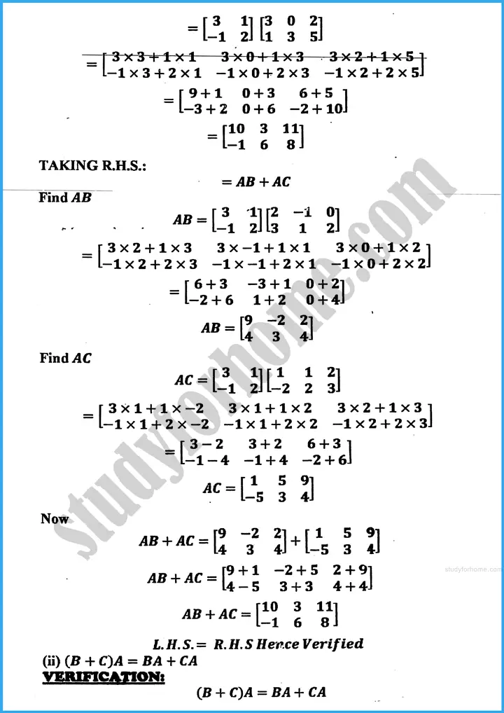 matrices and determinants exercise 19 1 mathematics class 10th 12