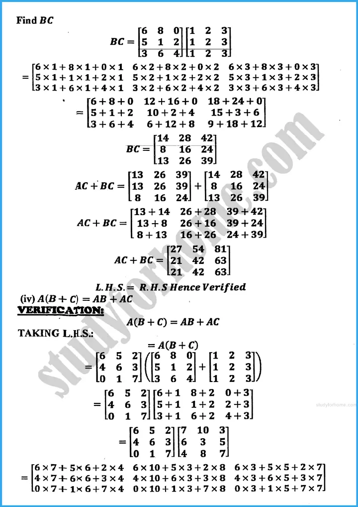 matrices and determinants exercise 19 1 mathematics class 10th 16