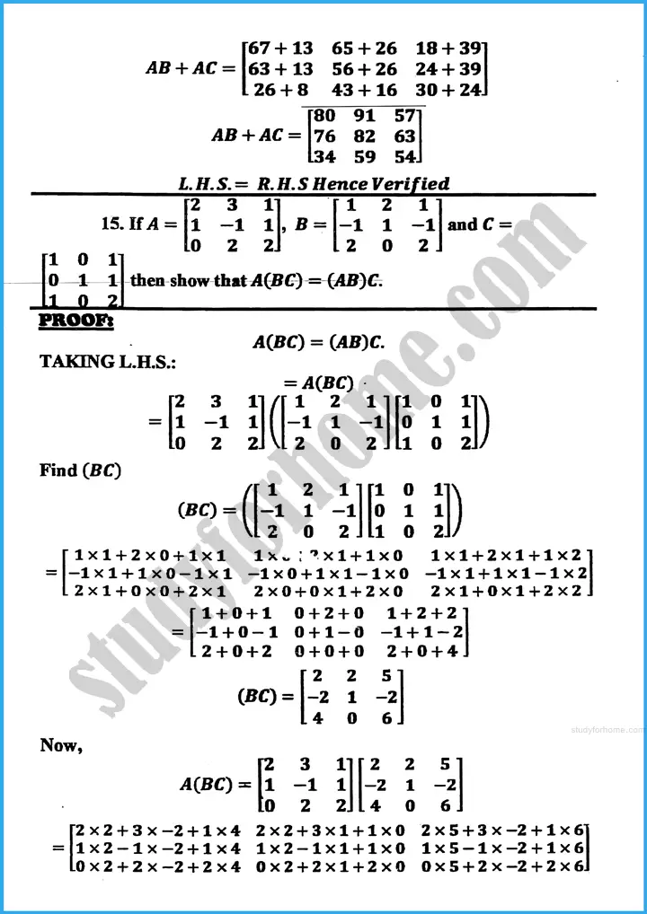 matrices and determinants exercise 19 1 mathematics class 10th 18