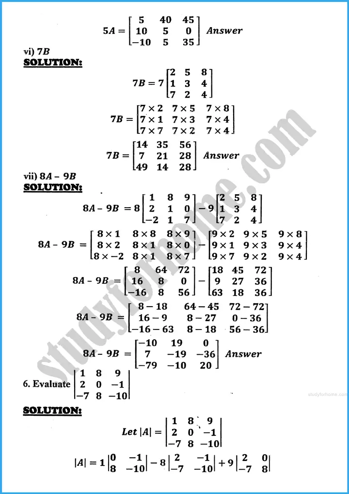 matrices and determinants review exercise 19 mathematics class 10th 05