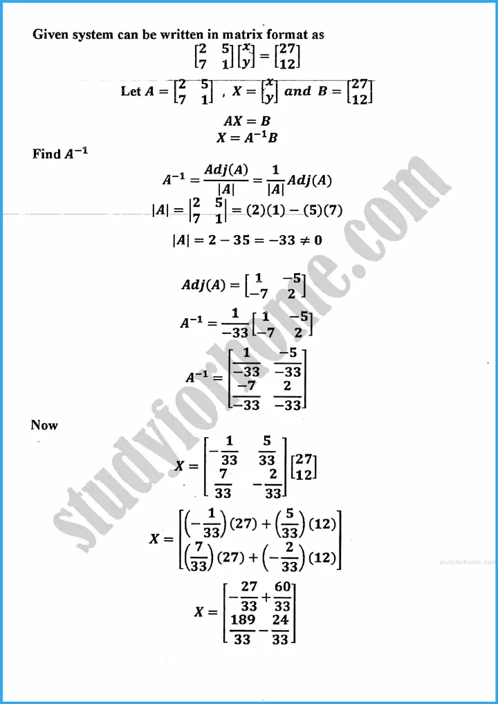 matrices and determinants review exercise 19 mathematics class 10th 08