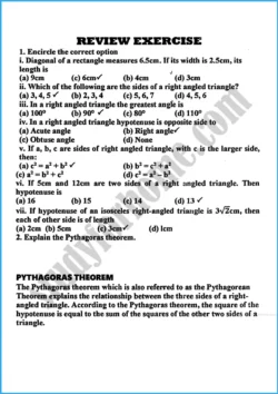 pythagoras-theorem-review-exercise-23-mathematics-class-10th