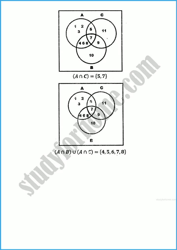 sets and functions exercise 17 4 mathematics class 10th 15