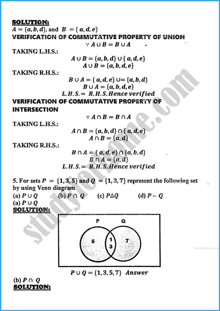 sets and functions review exercise 17 mathematics class 10th 04