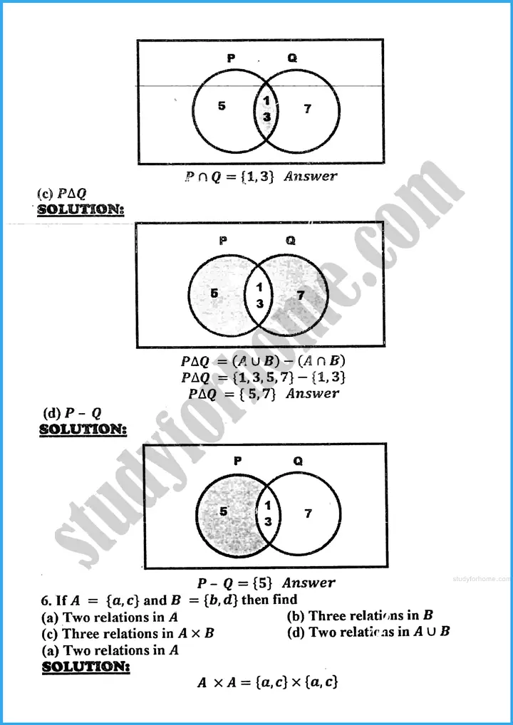 sets and functions review exercise 17 mathematics class 10th 05