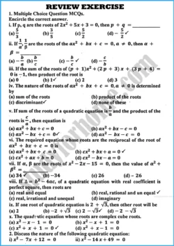 theory-of-quadratic-equations-review-exercise-20-mathematics-class-10th