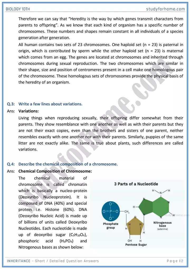 inheritance short and detailed question answers biology class 10th sindh board 02