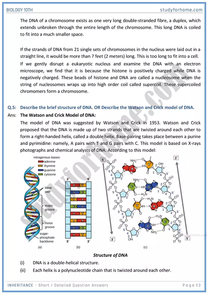 inheritance short and detailed question answers biology class 10th sindh board 03