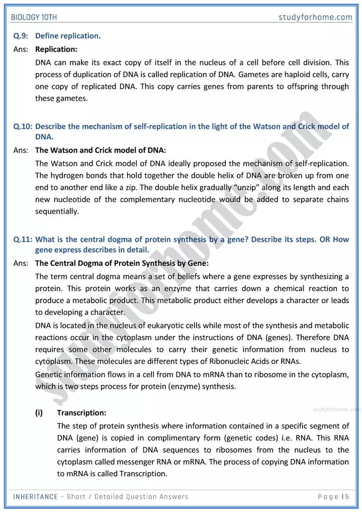 inheritance short and detailed question answers biology class 10th sindh board 05