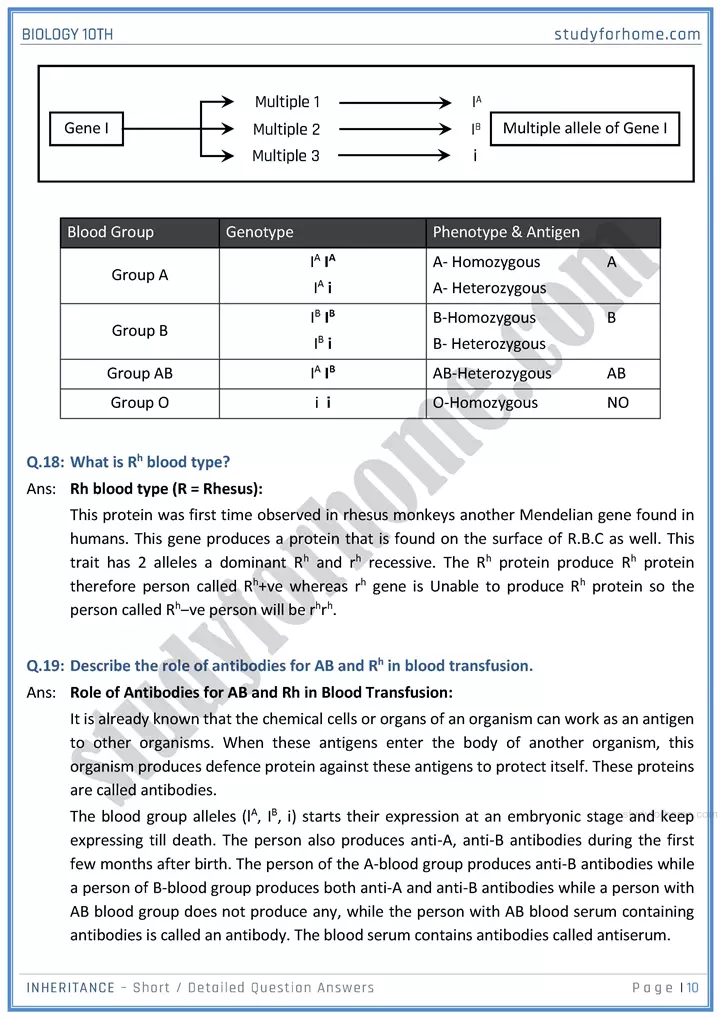 inheritance short and detailed question answers biology class 10th sindh board 10