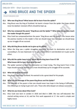 king-bruce-and-the-spider-short-question-answers-unit-3-1-english-class-10th-sindh-board