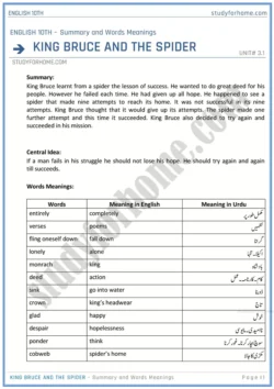 king-bruce-and-the-spider-summary-and-words-meanings-unit-3-1-english-class-10th-sindh-board