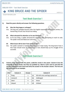 king-bruce-and-the-spider-text-book-exercise-solution-unit-3-1-english-class-10th-sindh-board