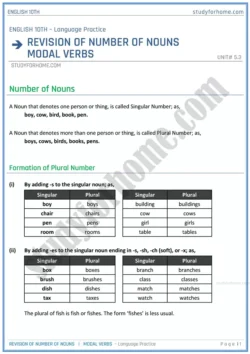 number-of-nouns-and-modal-verbs-language-practice-unit-5-3-english-class-10th-sindh-board