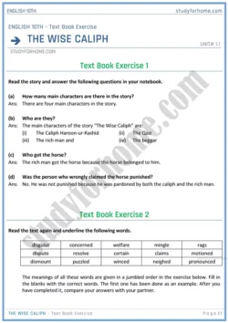 the-wise-caliph-text-book-exercise-solution-unit-1-1-english-class-10th-sindh-board