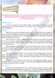 blood-cell-identification-practical-activity-19-biology-class-9th