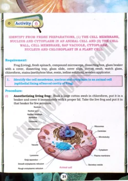 cell-component-identification-practical-activity-6-biology-class-9th