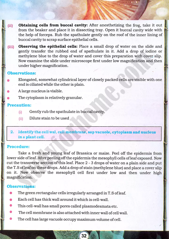 cell component identification practical activity 6 biology class 9th 02