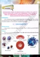 cell-examination-practical-activity-5-biology-class-9th