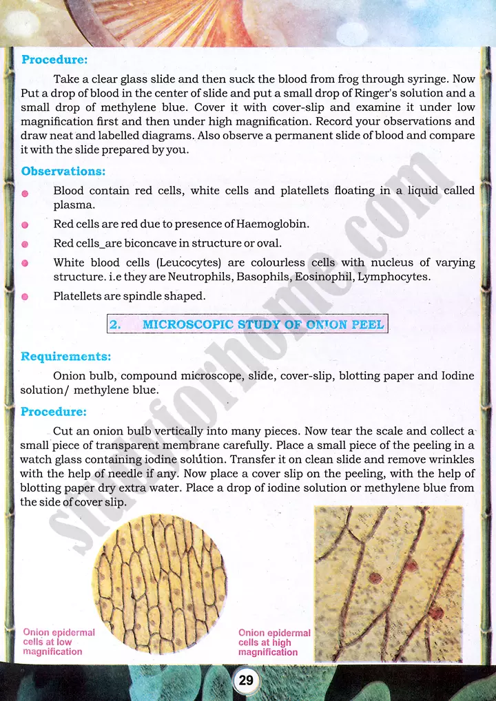 cell examination practical activity 5 biology class 9th 02