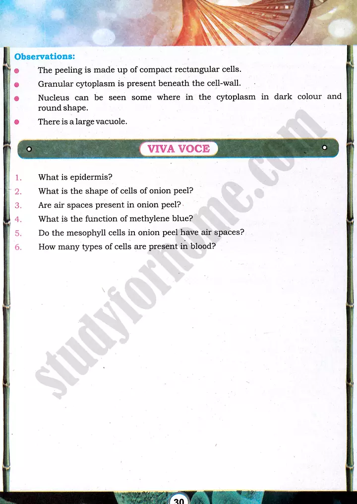 cell examination practical activity 5 biology class 9th 03
