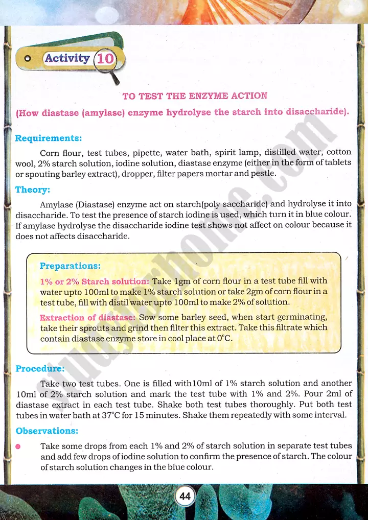 enzyme action test practical activity 10 biology class 9th 01