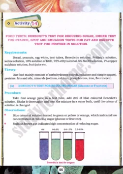 food-tests-practical-activity-14-biology-class-9th