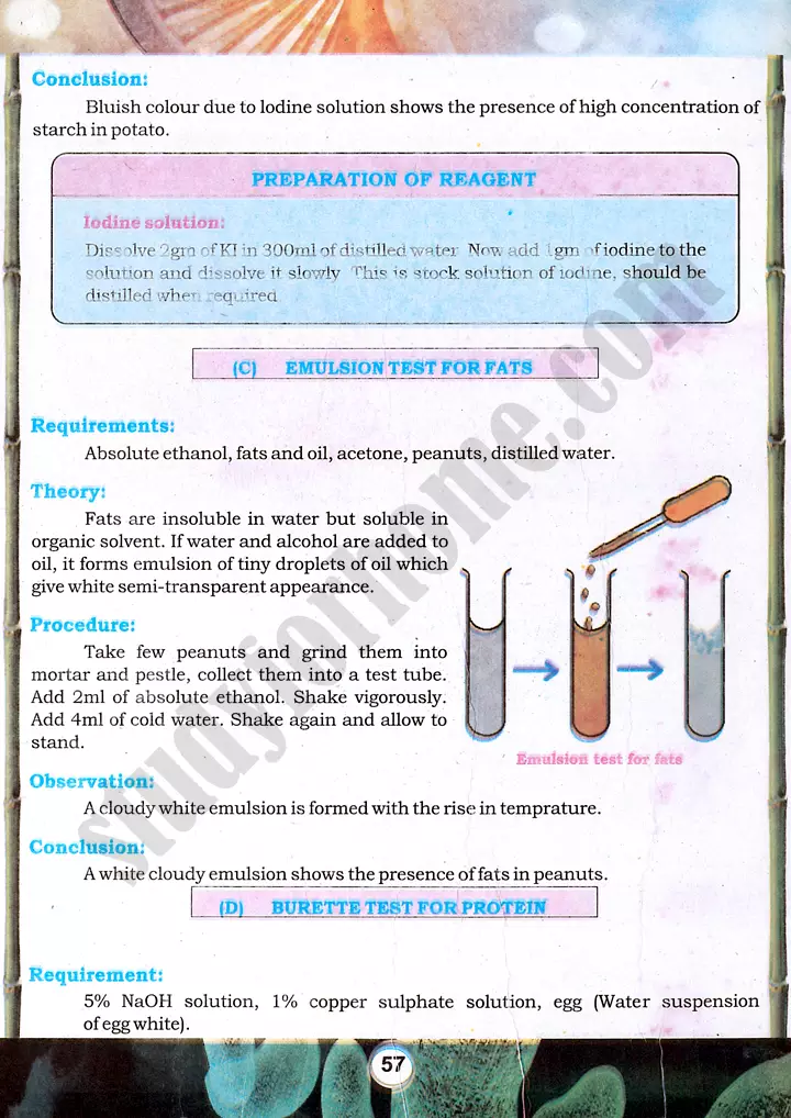 food tests practical activity 14 biology class 9th 03
