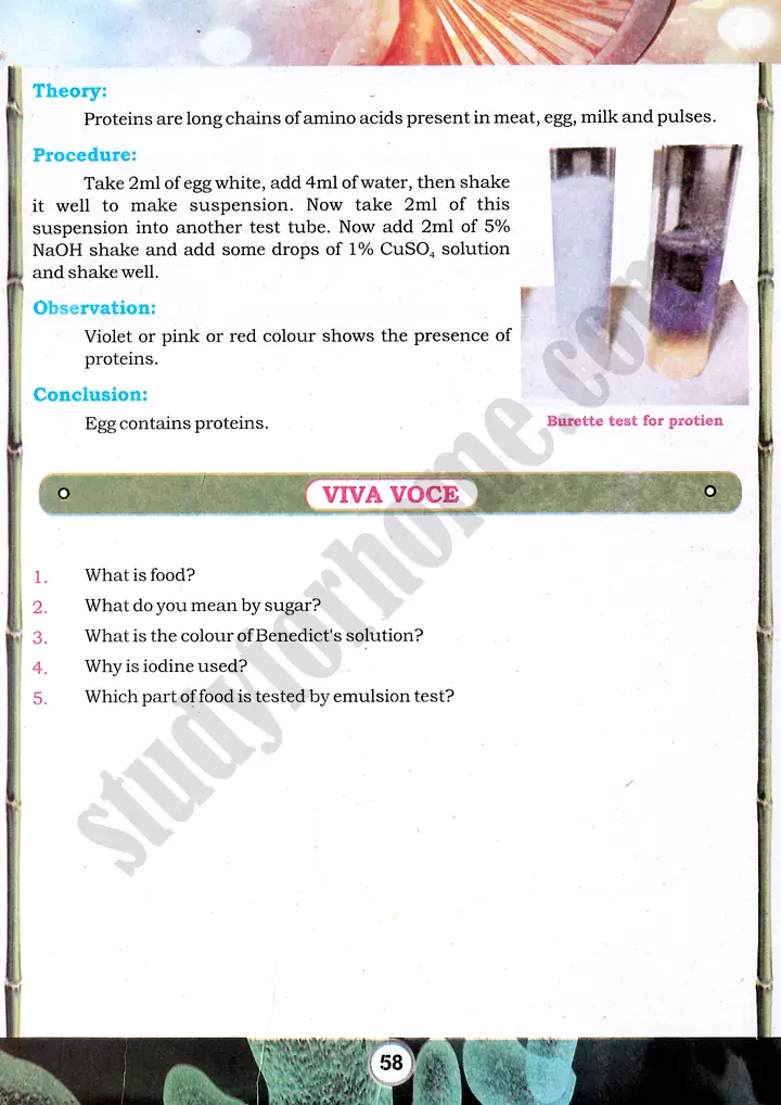 food tests practical activity 14 biology class 9th 04
