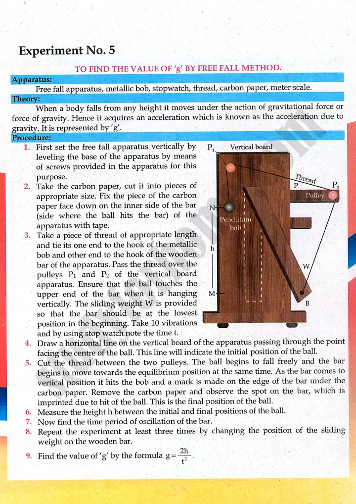 free-fall-gravity-practical-activity-5-physics-class-9th