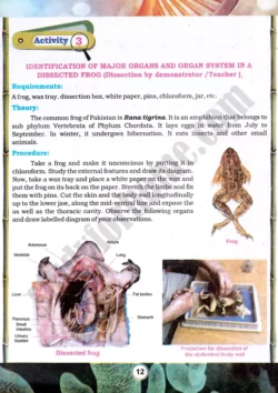frog-dissection-practical-activity-3-biology-class-9th