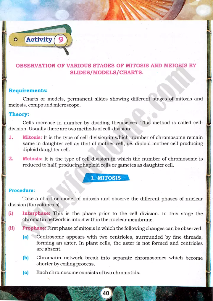 mitosis and meiosis observation practical activity 9 biology class 9th 01