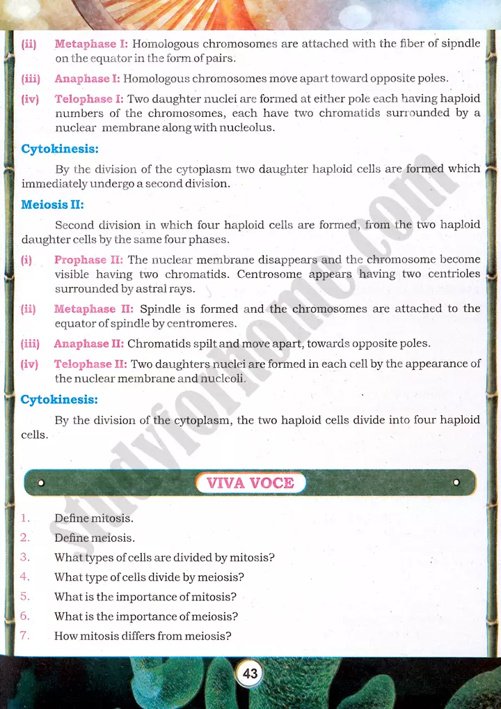 mitosis and meiosis observation practical activity 9 biology class 9th 04