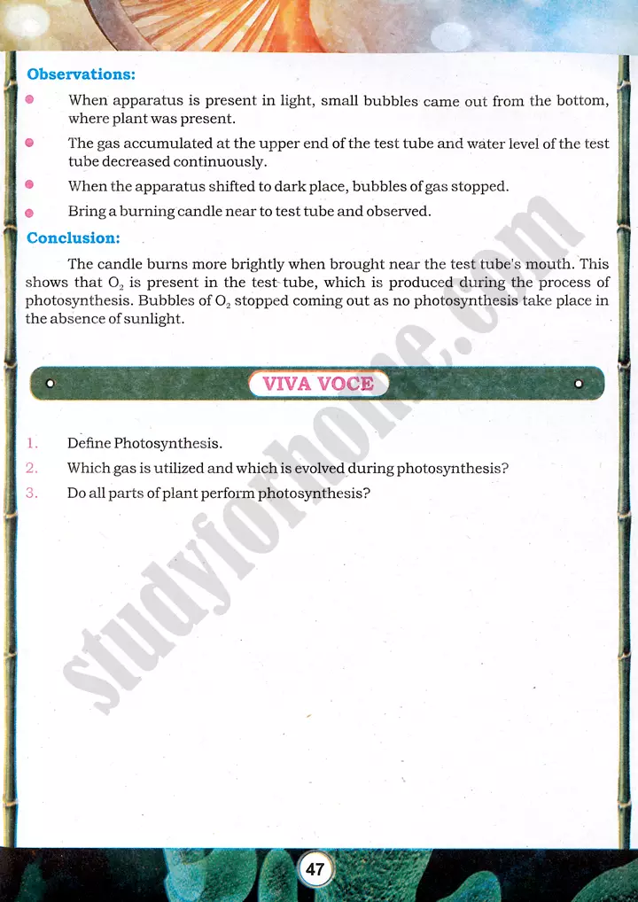 photosynthesis demonstration practical activity 11 biology class 9th 02