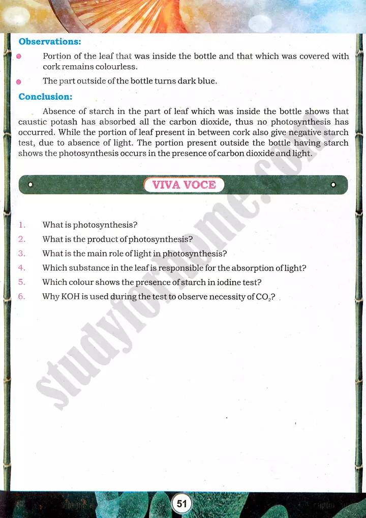 photosynthesis factors investigation practical activity 12 biology class 9th 04