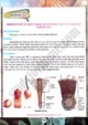 root-hair-observation-practical-activity-16-biology-class-9th