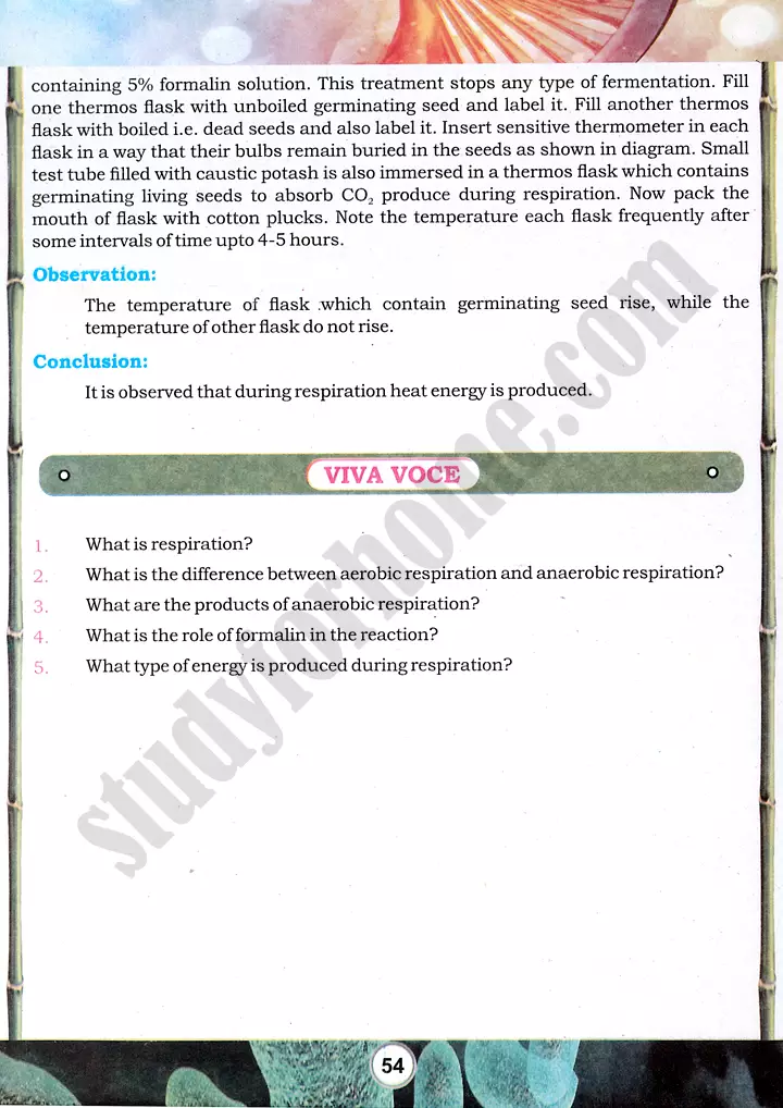 seed respiration investigation practical activity 13 biology class 9th 03