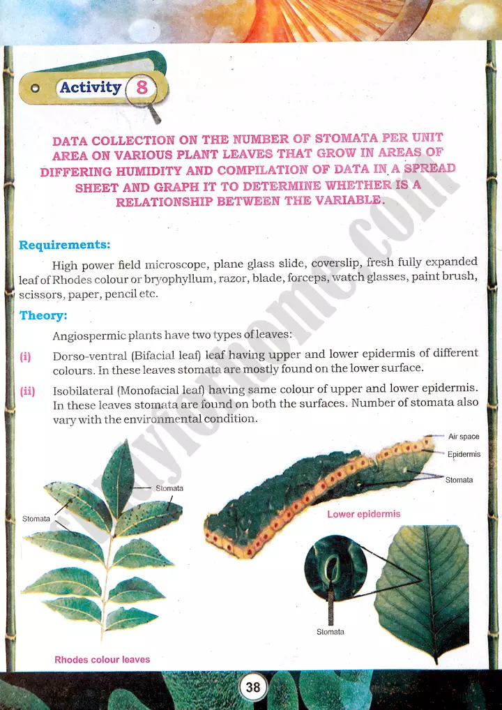 stomata data analysis practical activity 8 biology class 9th 01
