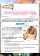 taxonomic-character-observation-practical-activity-4-biology-class-9th