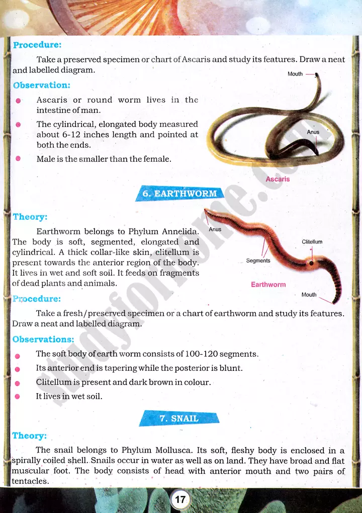 taxonomic character observation practical activity 4 biology class 9th 04