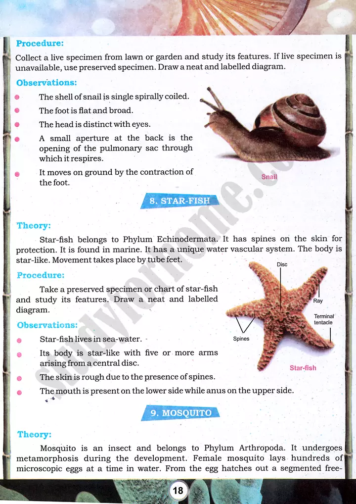taxonomic character observation practical activity 4 biology class 9th 05