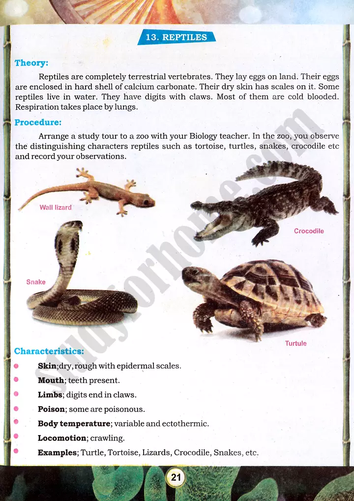 taxonomic character observation practical activity 4 biology class 9th 08
